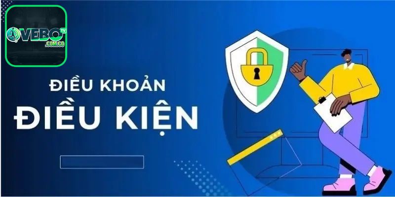 Chính sách điều khoản sử dụng Vebo TV chi tiết nhất