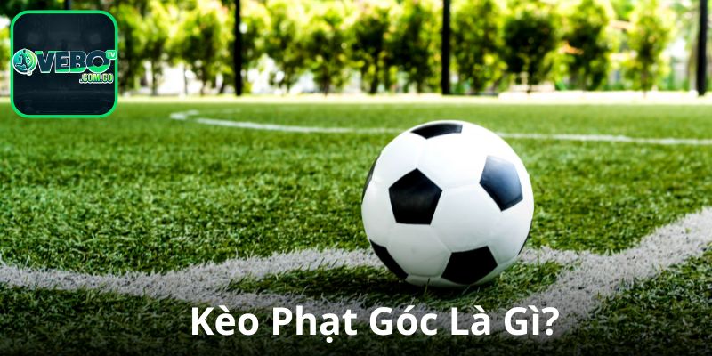 Khám phá về kèo cược