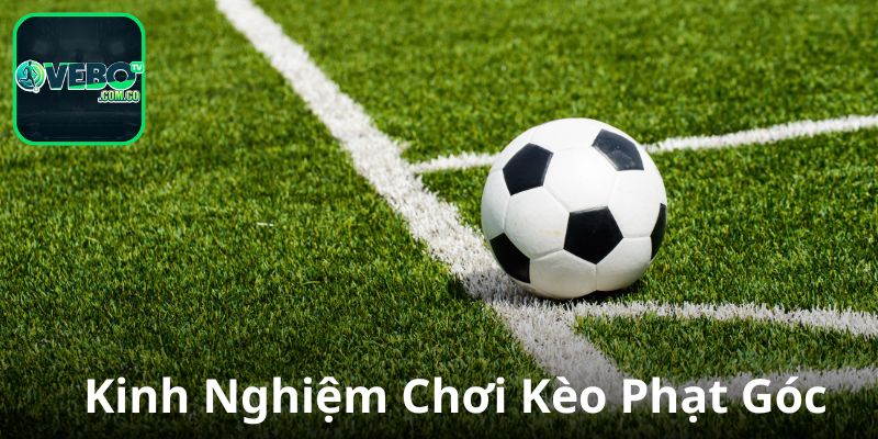 Kinh nghiệm cá cược